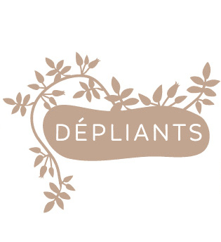 Explorez notre collection de dépliants Premières cueillettes : des livrets pratiques pour identifier et cuisiner les plantes sauvages Icône de menu menant à la collection des dépliants Premières cueillettes', offrant des livrets compacts sur l'identification et l'utilisation des plantes sauvages, incluant des recettes de cuisine sauvage et sans gluten.