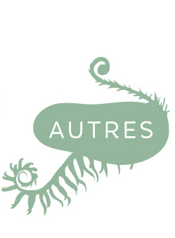 menu : autres (cartes, marque-pages, etc.)