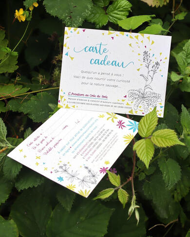 carte cadeau valable sur toutes nos publications autour des plantes sauvages et de leurs usages