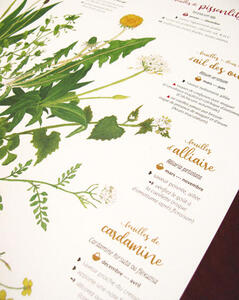 Détail de l'affiche Savoureux pestos sauvages : ail des ours, alliaire, cardamine... Détail de l'affiche Savoureux pestos sauvages : ail des ours, alliaire, cardamine...