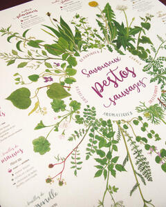 Détail de l'affiche Savoureux pestos sauvages : tilleul, mauve, pimprenelle... Détail de l'affiche Savoureux pestos sauvages : tilleul, mauve, pimprenelle...