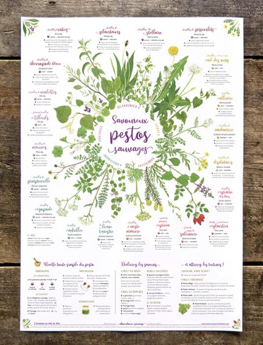 Affiche Savoureux pestos sauvages : 21 plantes sauvages comestibles à découvrir toute l'année pour faire soi-même ses pestos !