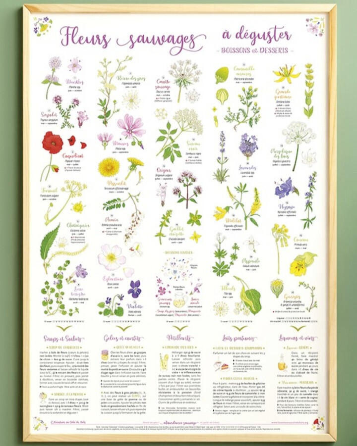 Affiche fleurs sauvages à déguster : boissons et desserts, éditée par L'Aventure au coin du bois Affiche fleurs sauvages à déguster : boissons et desserts, éditée par L'Aventure au coin du bois
