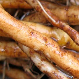Image montrant des racines de pissenlit pointant vers le livret "Je cuisine le pissenlit" à la vente, présentant des recettes plaisir et détox sans gluten autour de cette plante sauvage.