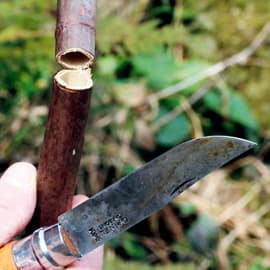 Fabrication d'une flûte à partir de renouée du Japon, illustrant les techniques traditionnelles de création d'instruments de musique avec des plantes sauvages, comme décrit dans le Cahier pratique & sauvage n°7.