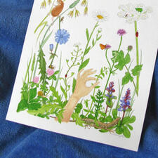 Détail de l'aquarelle de Linaigrette : carte Cueillir seulement sa part Détail de l'aquarelle de Linaigrette : carte Cueillir seulement sa part