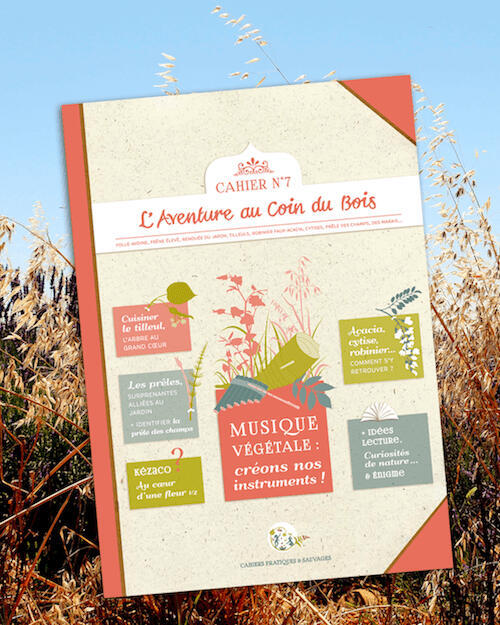 Vue d'ensemble du dépliant "Je cuisine le sureau", recettes fleuries et fruitées sans gluten autour d'un arbuste local