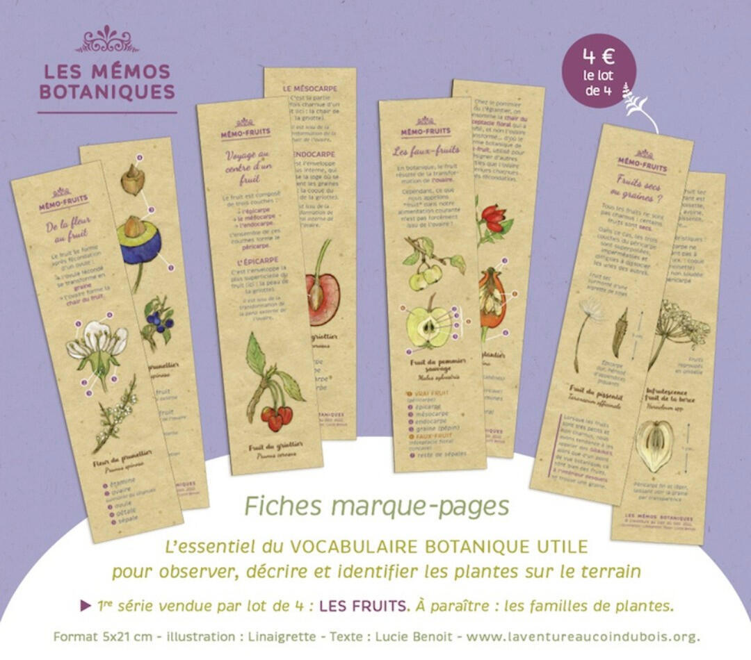 Marque-pages mémo botanique : vue de la collection, série "Fruits" Marque-pages mémo botanique : vue de la collection, série "Fruits"