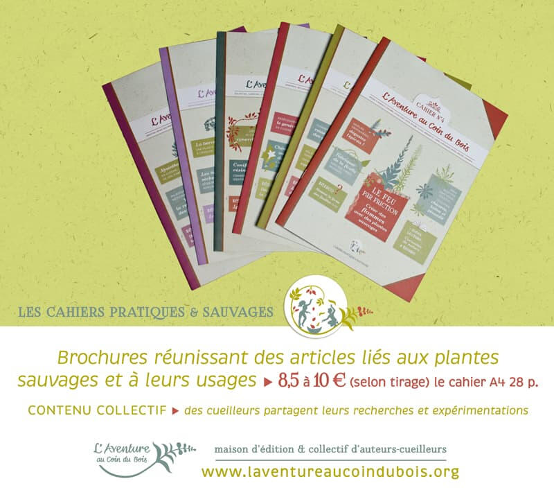 La collection des Cahiers pratiques &amp; sauvages de l&#39;Aventure au coin du bois : des cueilleurs partagent autour des plantes sauvages (usages et identifications)