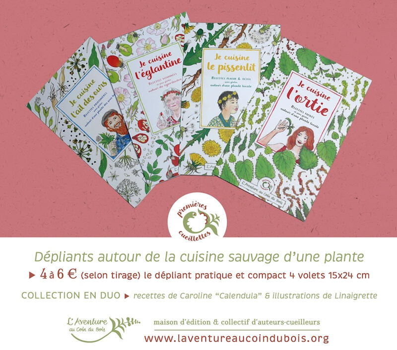 La collection des dépliants &quot;Premières cueillettes&quot; de L&#39;Aventure au coin du bois : cuisine sauvage sans gluten autour de l&#39;ortie, l&#39;églantine, le pissenlit, l&#39;ail des ours, le sureau...