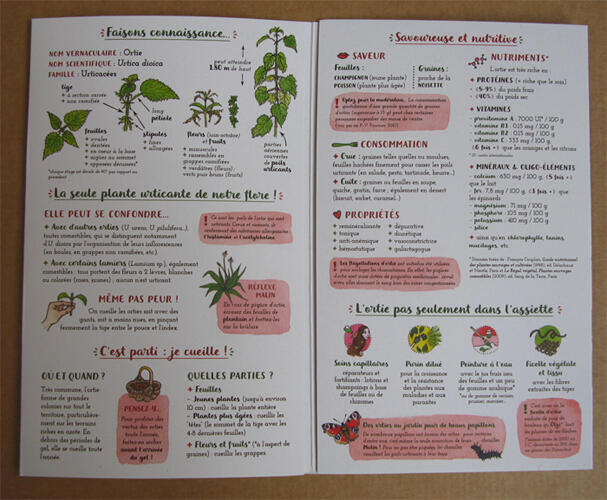 Je cuisine l&#39;ortie