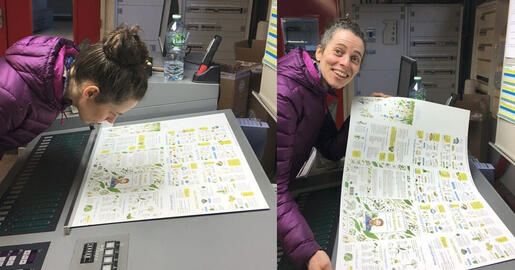 Je cuisine l&#39;ail des ours