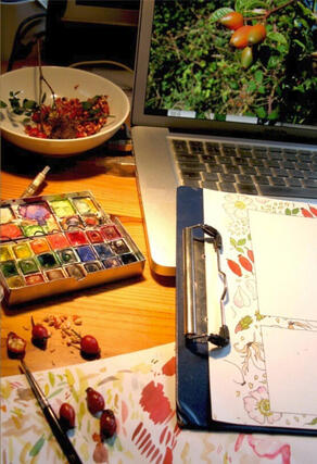 Je cuisine l&#39;églantine : Linaigrette au travail