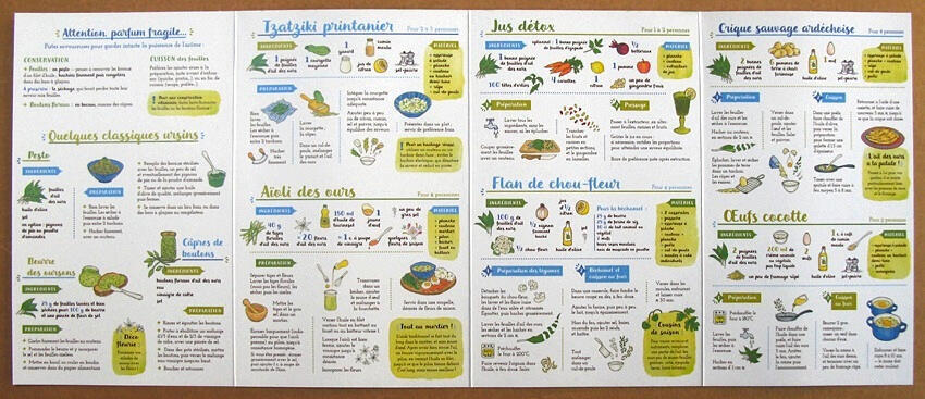 Je cuisine l&#39;ail des ours