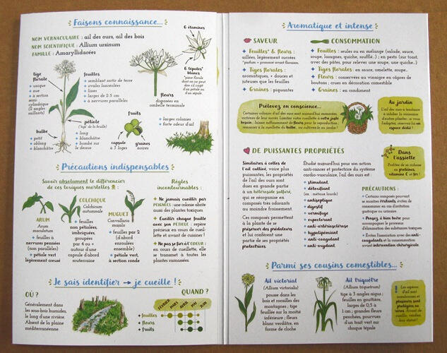 Je cuisine l&#39;ail des ours