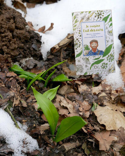 Je cuisine l&#39;ail des ours