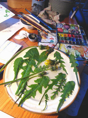 Je cuisine le pissenlit