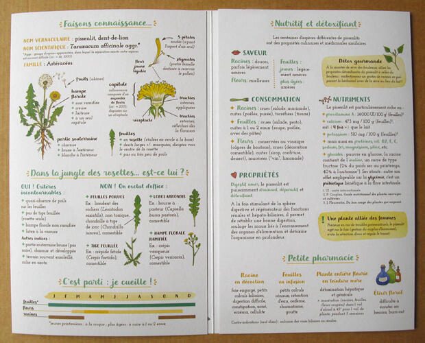 Je cuisine le pissenlit