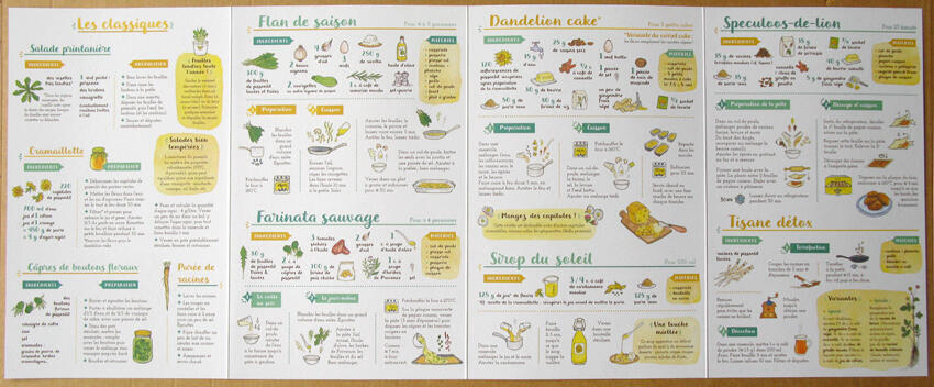 Je cuisine le pissenlit