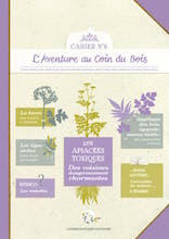 Cahier n°6