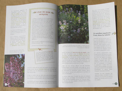 Cahier n°3 Cahier n°3