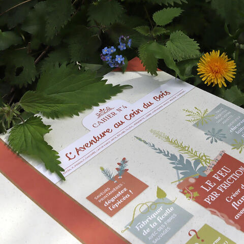 Cahier n°4 Cahier n°4