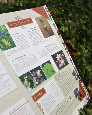 Cahier n°4 Cahier n°4