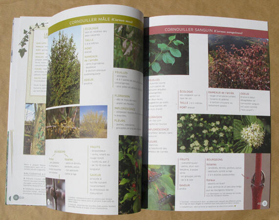 Cahier n°1 Cahier n°1