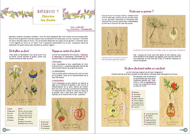 Cahier n°10 Cahier n°10
