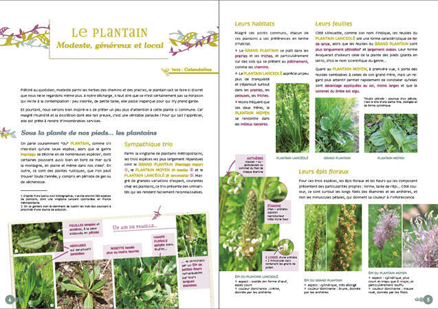 Cahier n°10 Cahier n°10