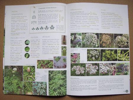 Cahier n°6 Cahier n°6