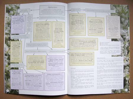 Cahier n°6 Cahier n°6