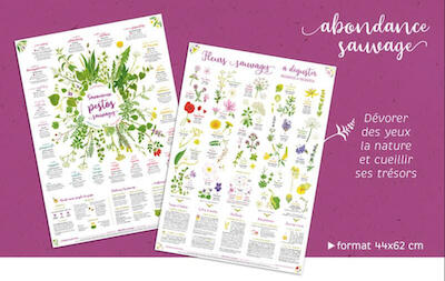 Image promotionnelle de L'Aventure au coin du bois présentant un lot de 3 publications sur la cuisine des arbres : sureau, épicéa et tilleul, disponible à l'achat.