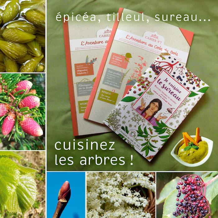 Image promotionnelle de L'Aventure au coin du bois présentant un lot de 3 publications sur la cuisine des arbres : sureau, épicéa et tilleul, disponible à l'achat.